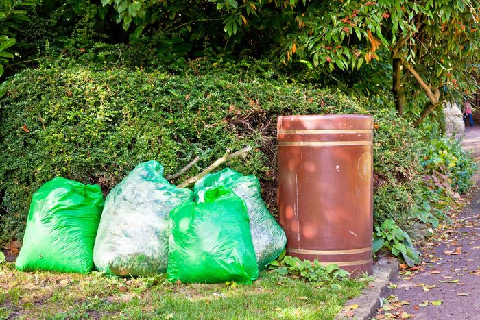 green garbage bags in the grass