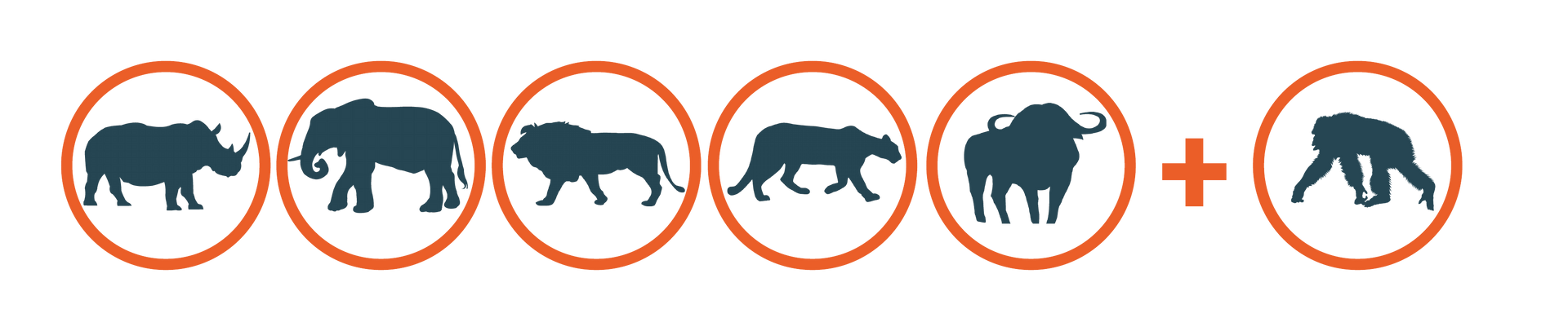 Silhouettes of the Big Five and an ape in orange circles, illustrating the African savanna animals.