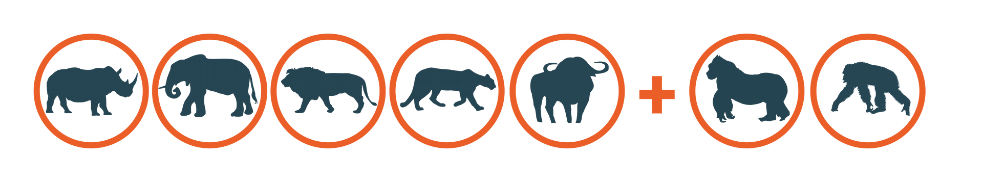 Illustration of African animals: rhino, elephant, lion, cheetah, buffalo, gorilla, and monkey.