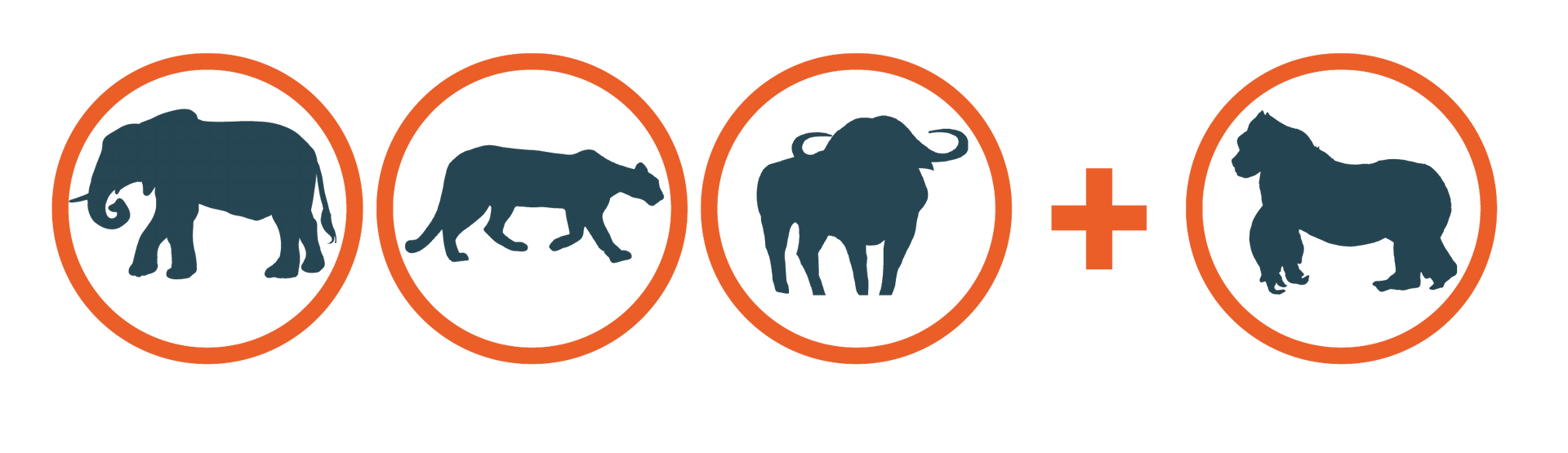 Elephant, lion, buffalo, plus gorilla in orange circles; animal silhouettes.