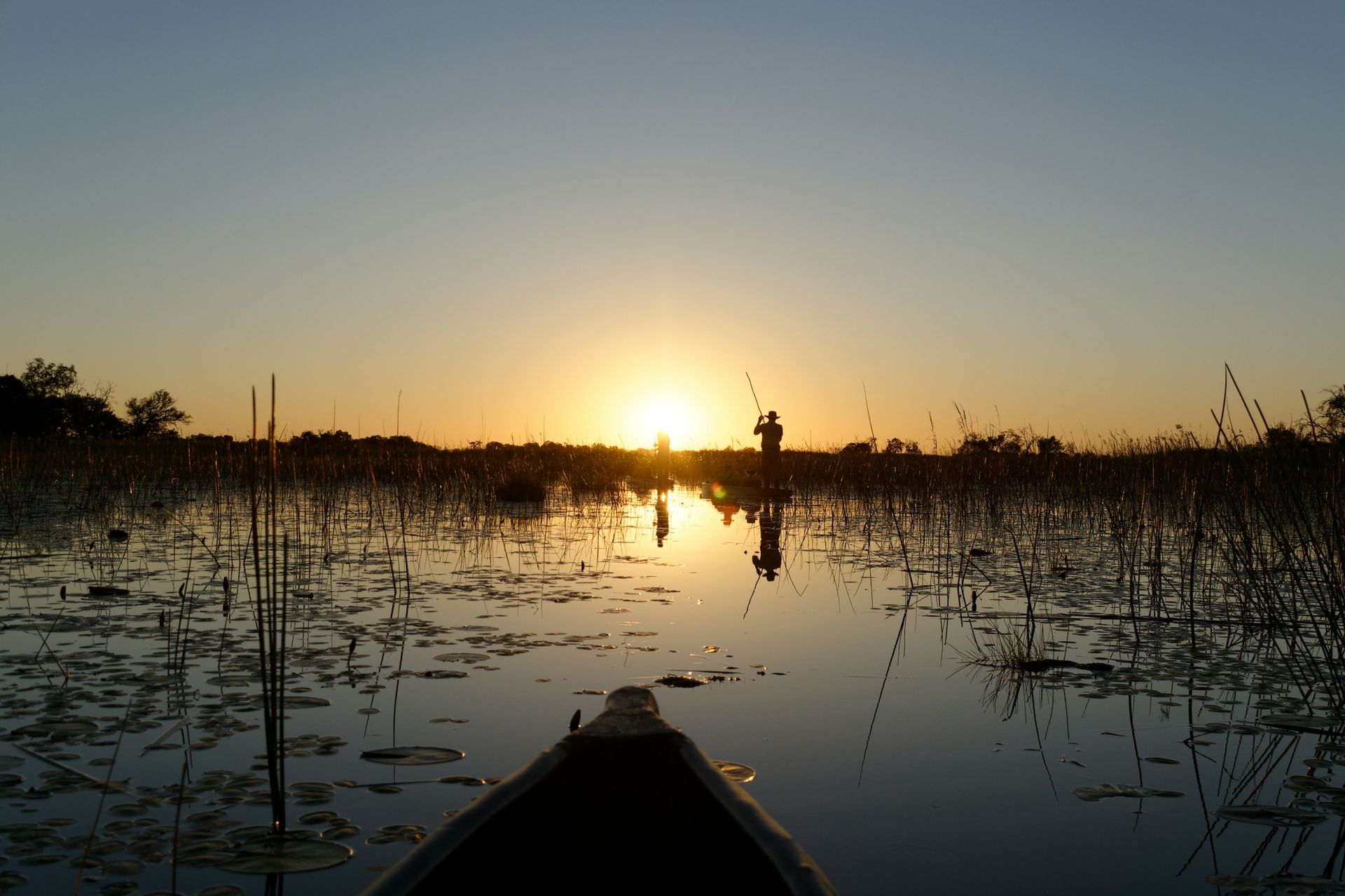 A person fishes from a boat at sunset over calm water, reeds silhouetted against the golden sky.