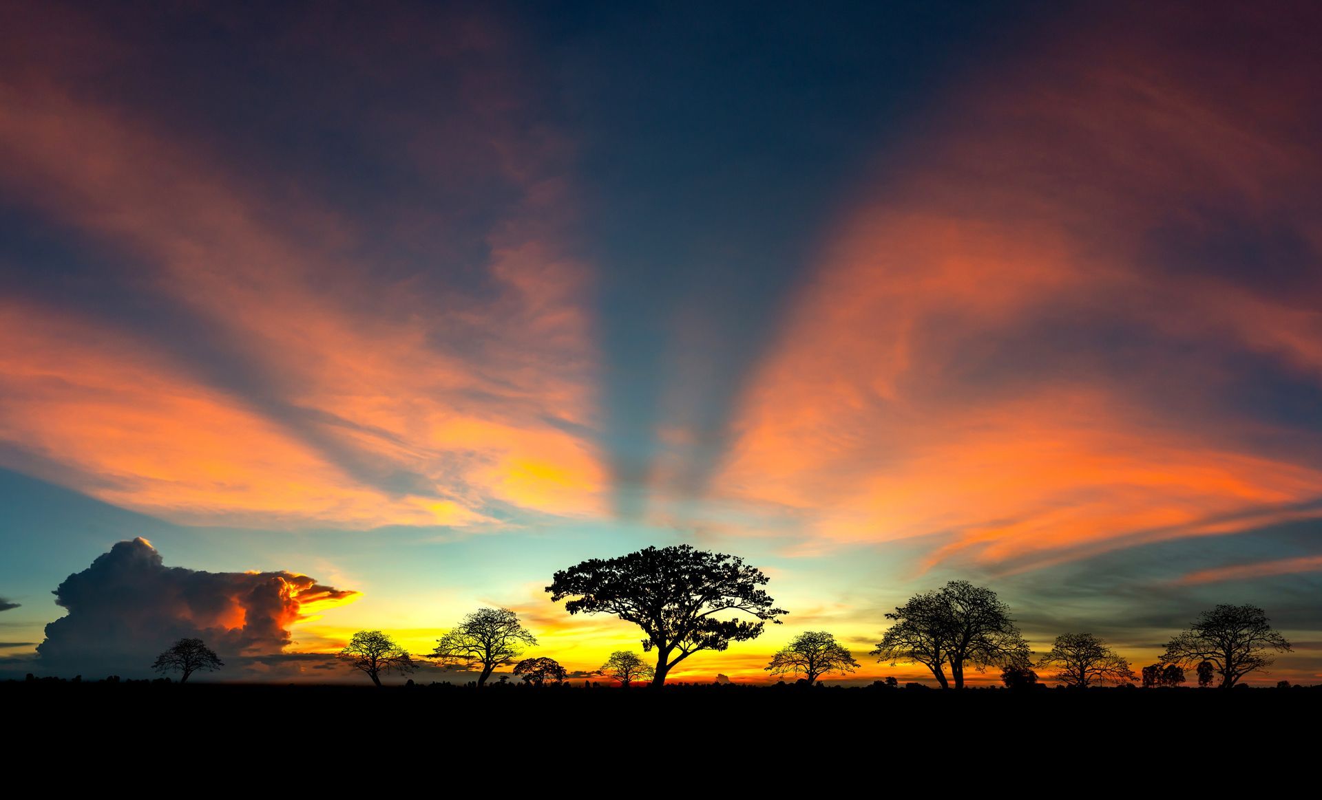 Silhouette of trees under a vibrant sunset sky with orange and blue rays.