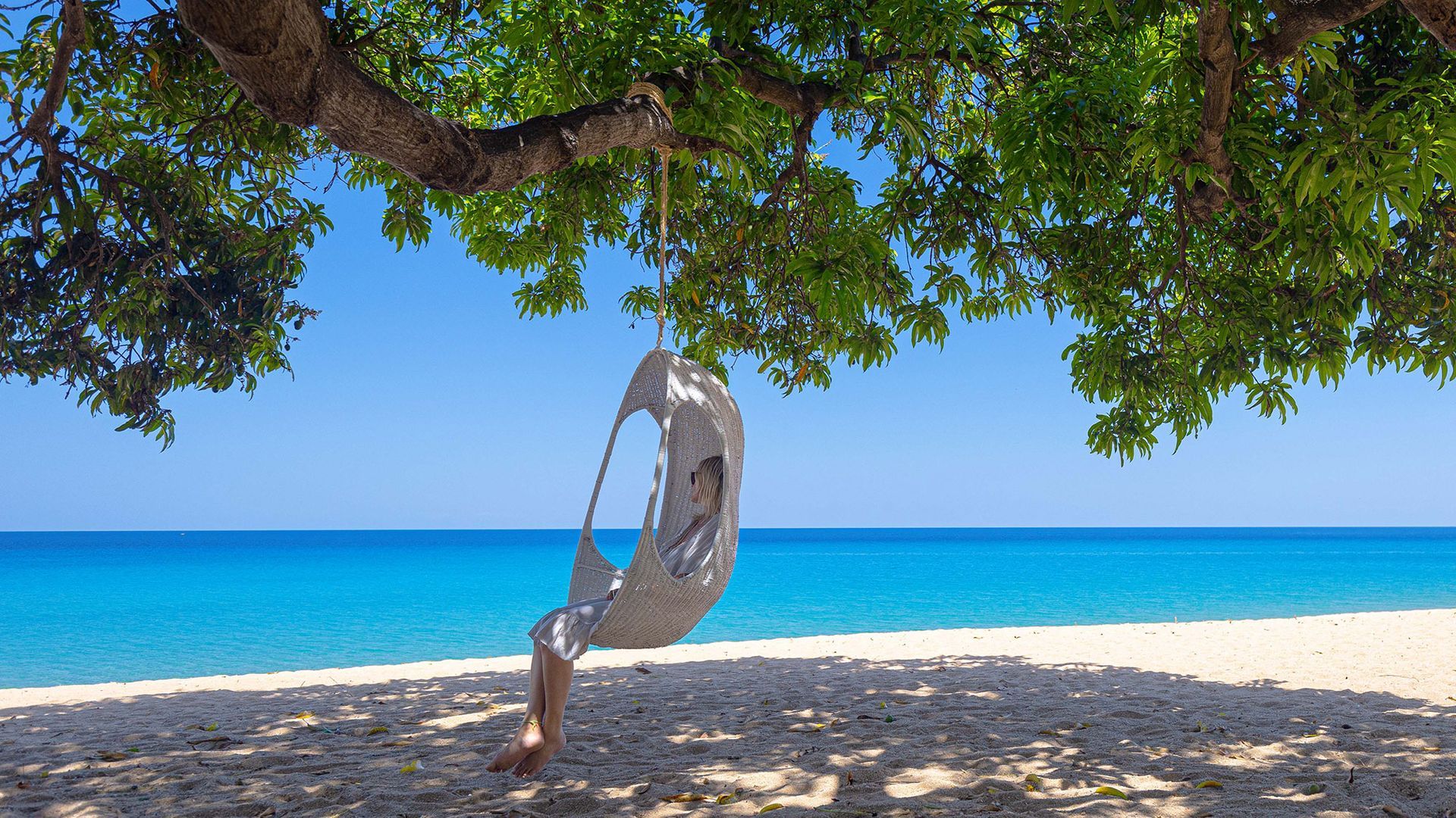 Person on a swing under a tree, overlooking a blue ocean and white sand beach on a sunny day.