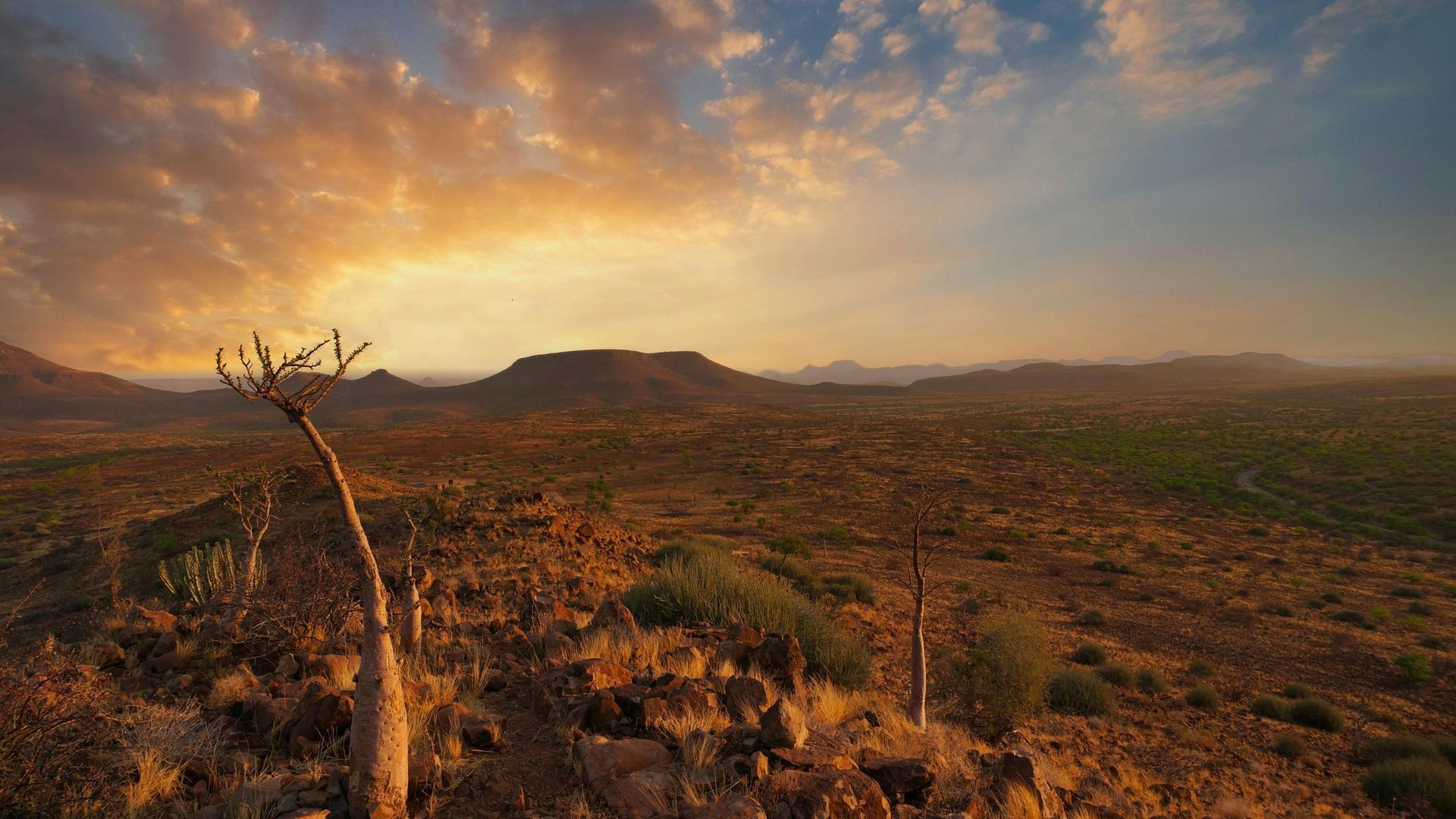 Golden sunset over arid landscape with mountains and sparse vegetation.