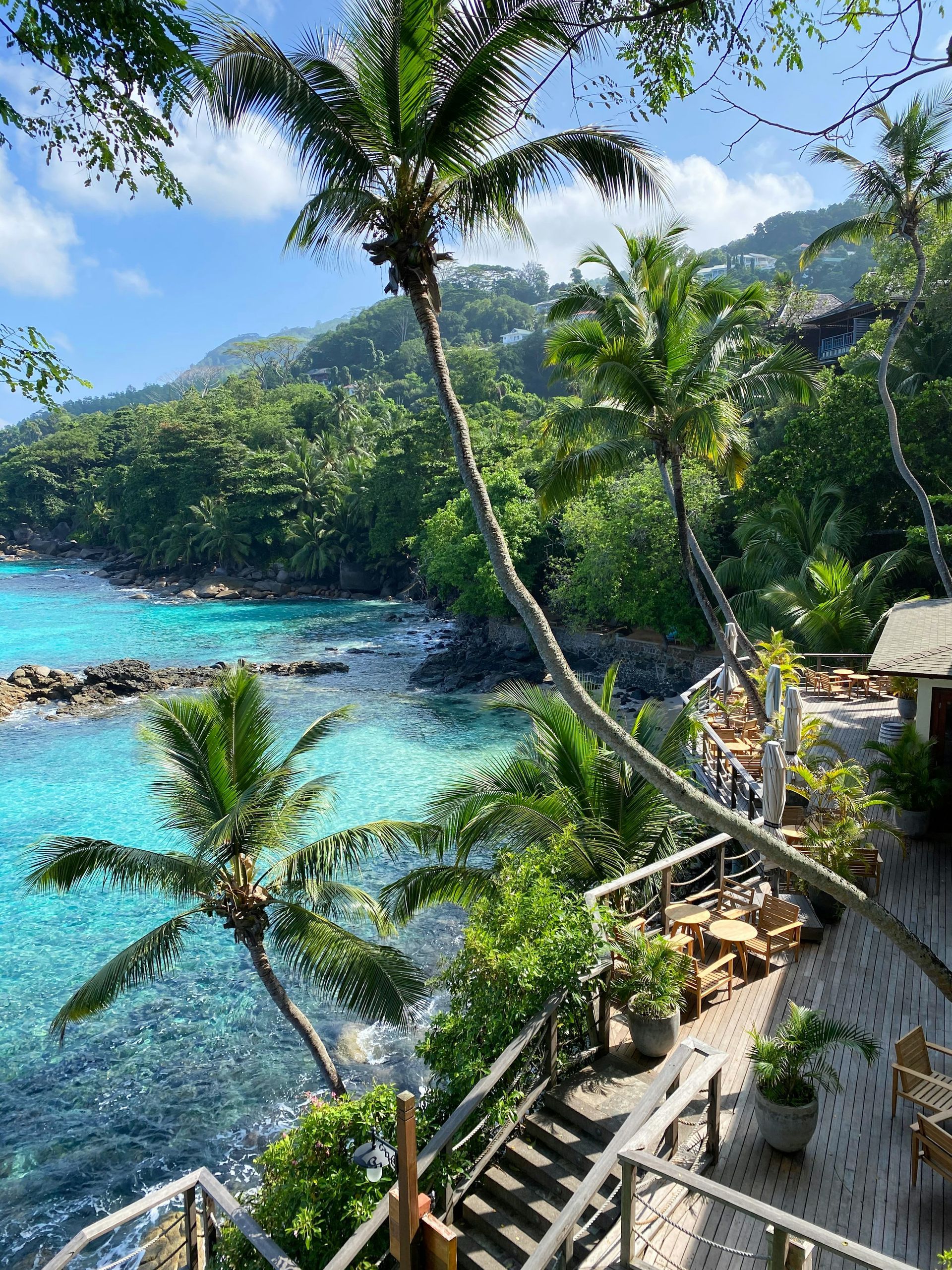 Tropical coastline with turquoise water, palm trees, wooden steps, and lush green foliage.