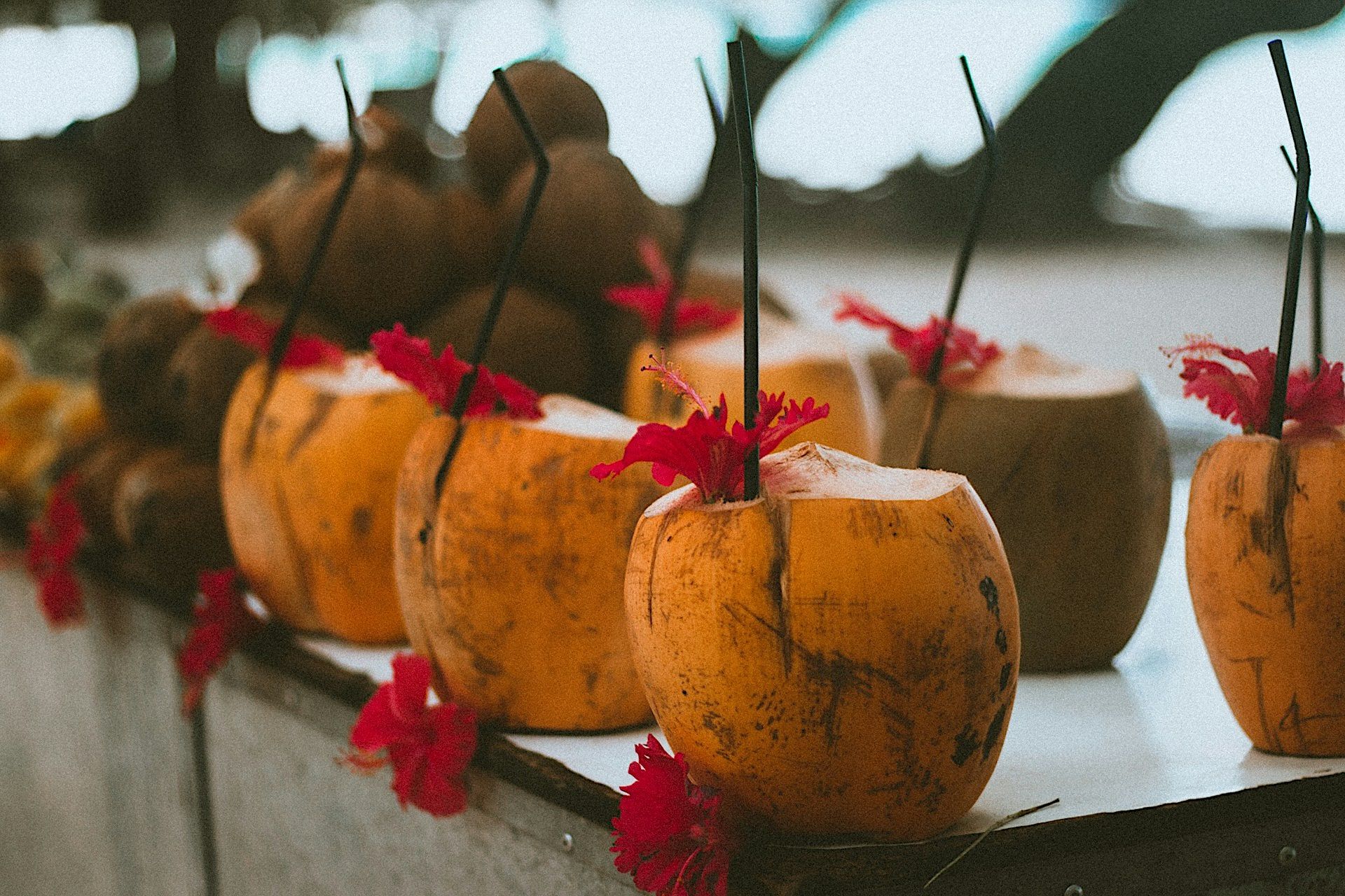 Row of fresh coconuts with straws and red flowers; tropical drinks.