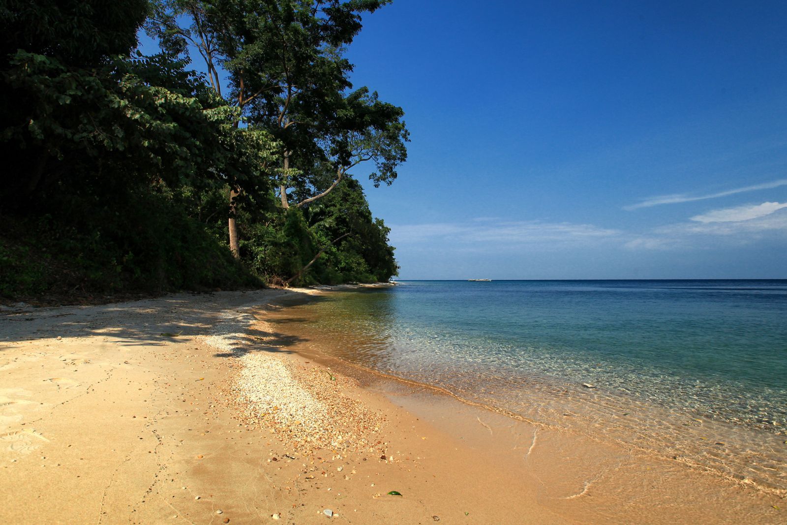 Sandy beach with clear turquoise water, trees on the left, and a blue sky.