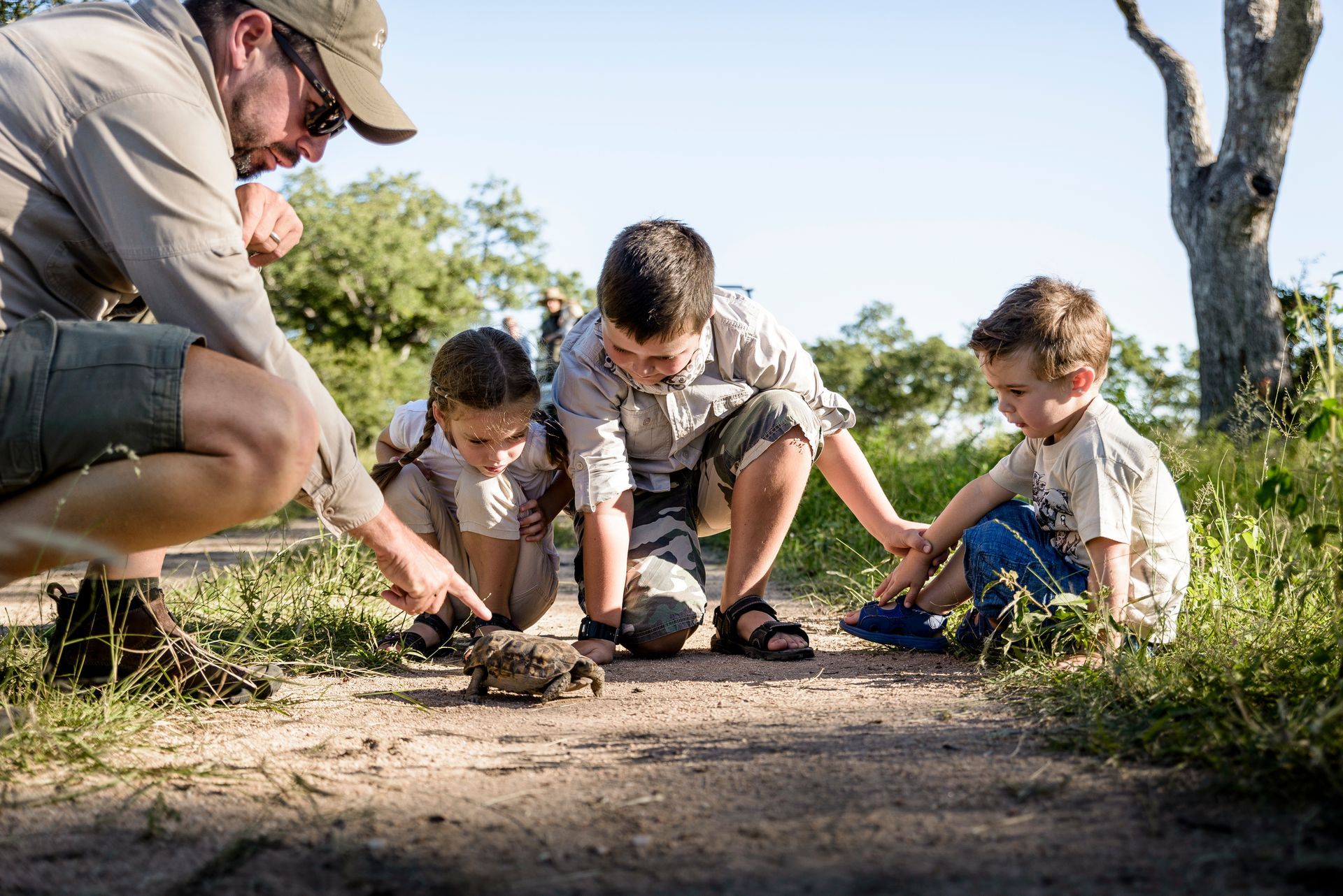 A man and three children examine a toad on a path, outdoors.
