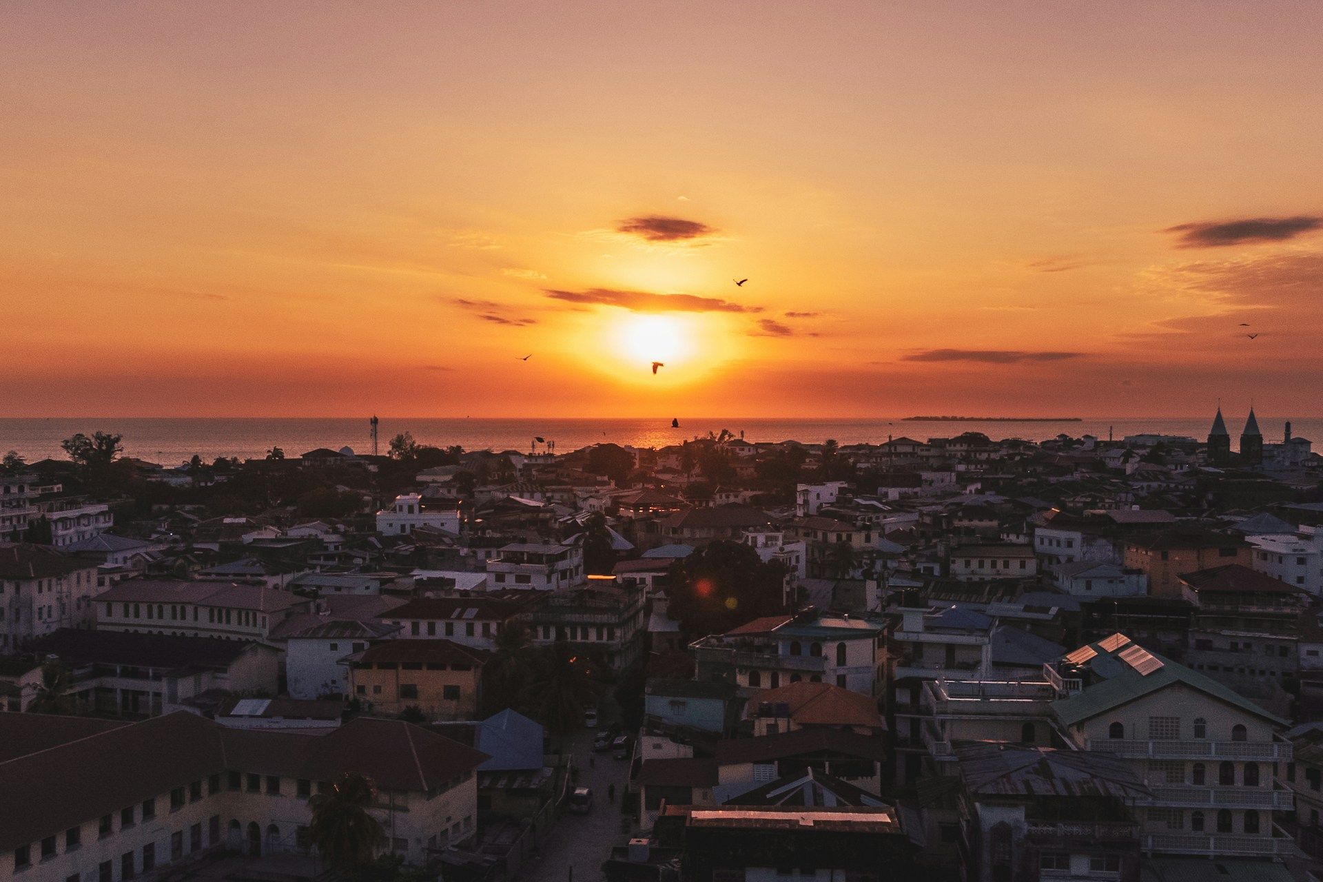 Sunset over Stone Town, Zanzibar, with silhouettes of buildings and birds against an orange sky.