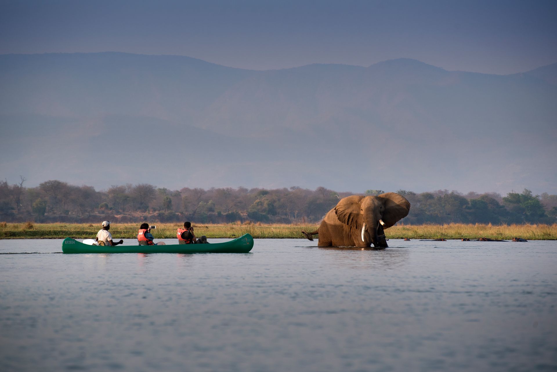 Canoe with three people on water near an elephant wading in the water; mountains in the background.