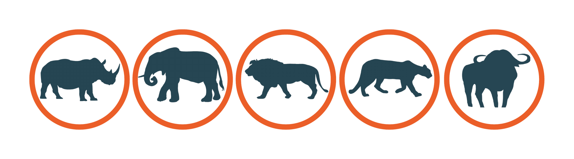 Five African Big Game animals in orange circles: rhino, elephant, lion, leopard, and buffalo.