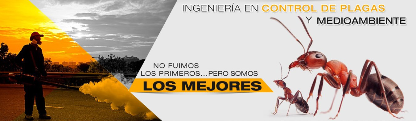Control de plagas en Salta