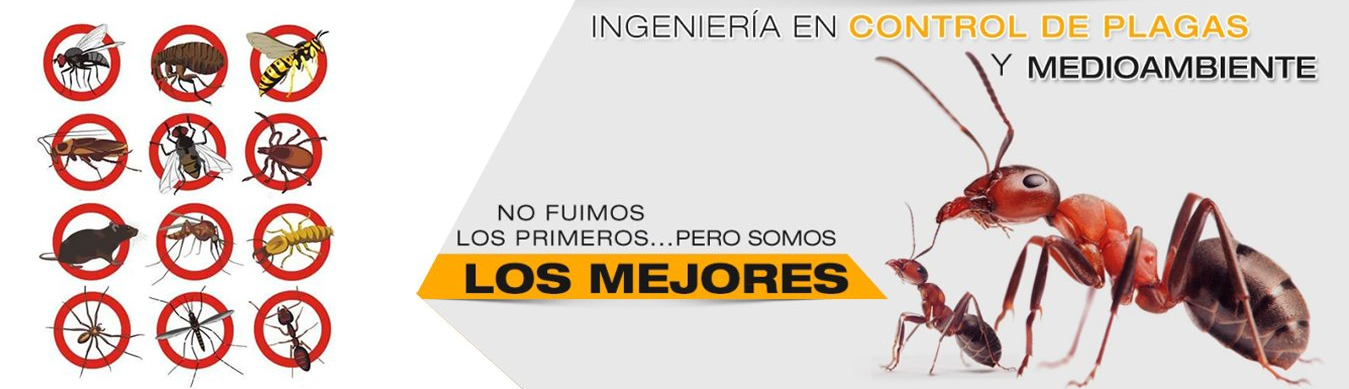 Control de plagas en Salta