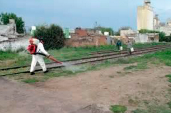 Control de plagas
