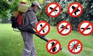 Control de plagas