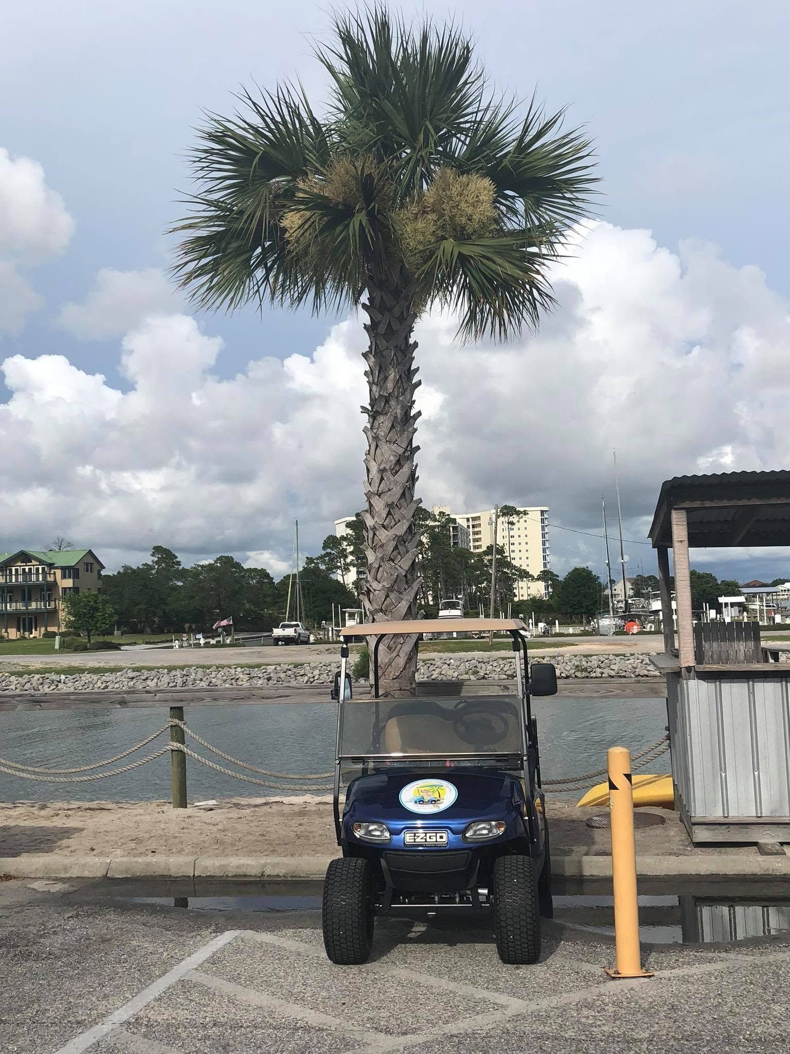 Small blue utility cart parked by a waterfront palm tree under cloudy skies.