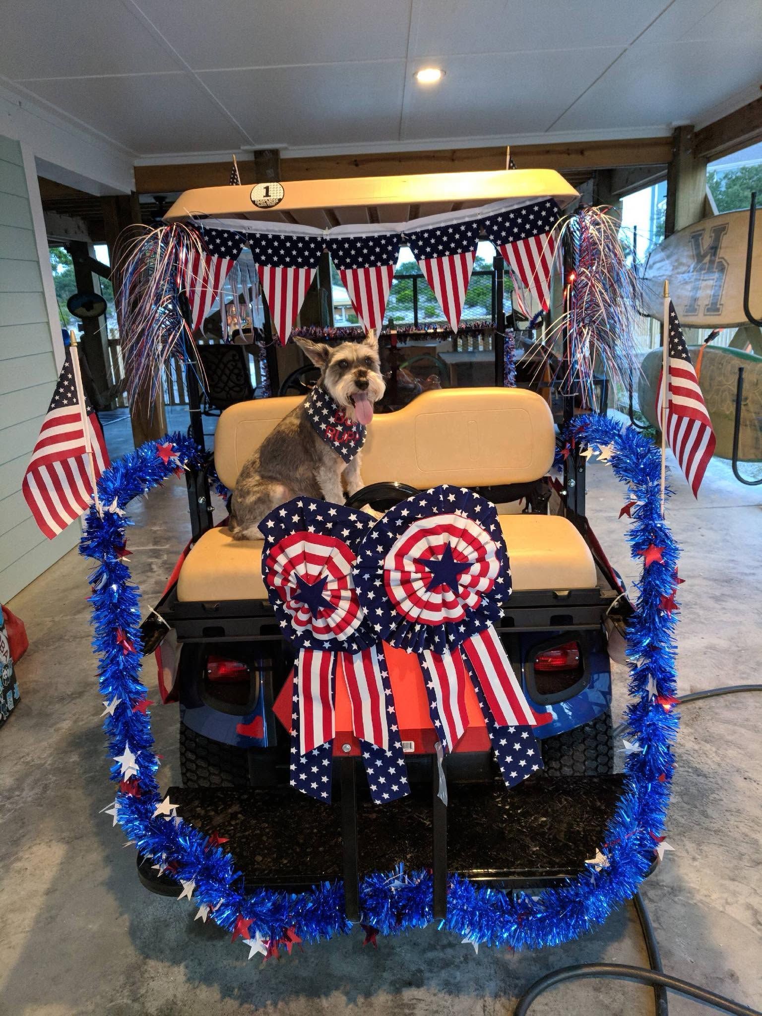 Patriotic-decorated golf cart with blue tinsel, American flags, and red-white-blue bunting, with a dog inside