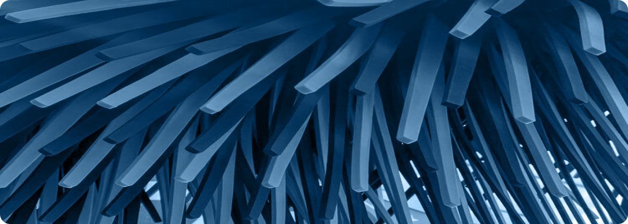 Close-up of blue car wash brushes.