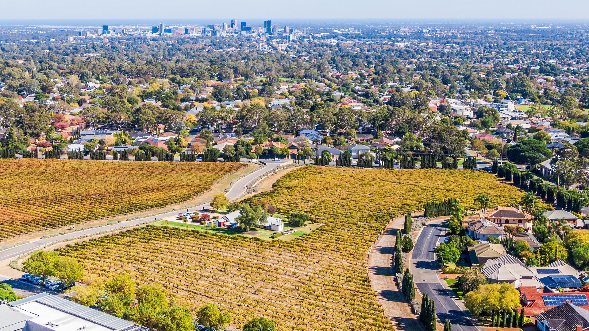 Winery Development Services | Barossa Valley, SA