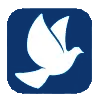 White dove in flight inside a blue square.