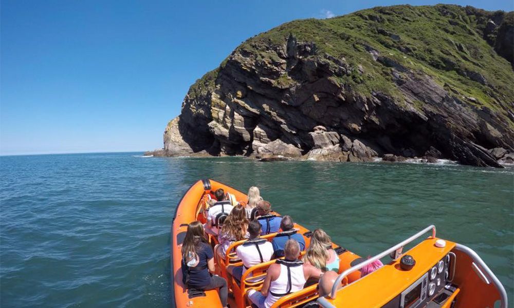 Devon sea safari in Teignmouth, Devon.
