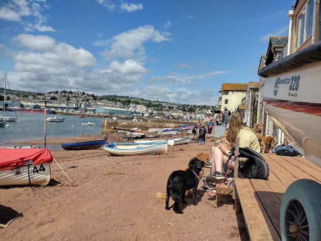 Back beach in Teignmouth, South Devon.