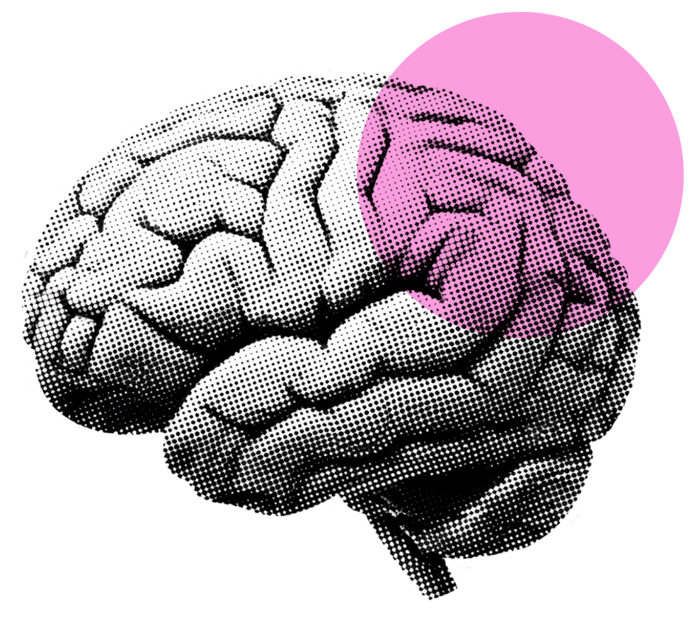 Brain graphic with the right side highlighted pink and a pink circle overlay.