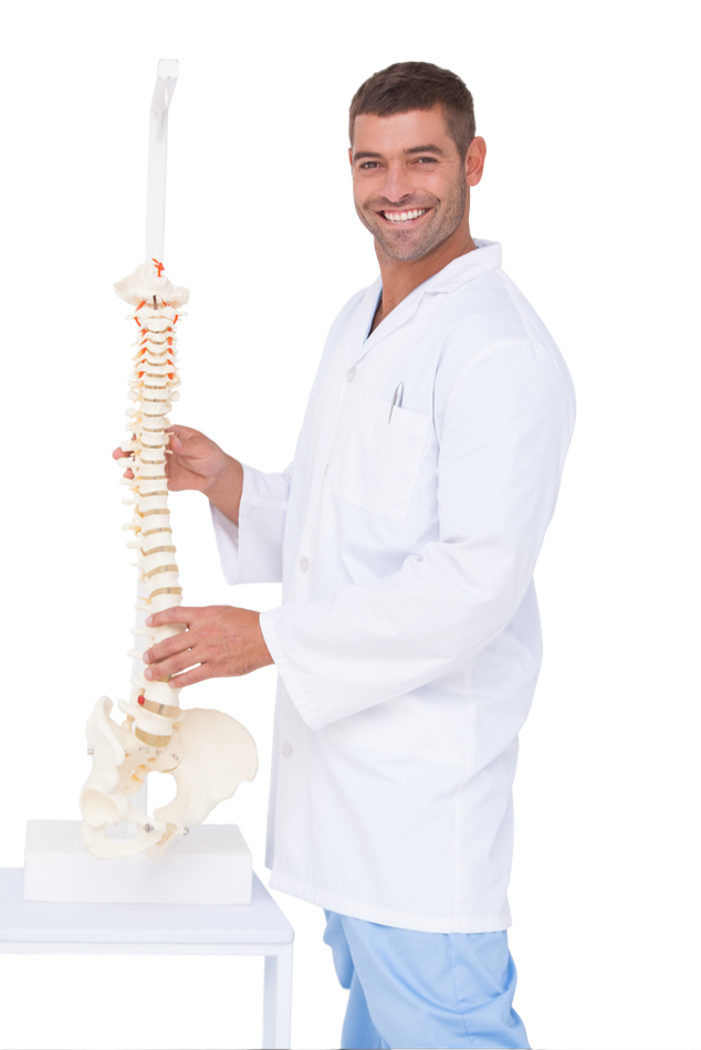 Smiling doctor in a white coat standing beside a human spine model on a table