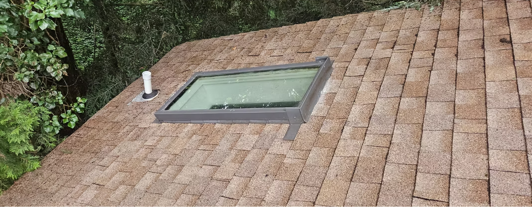 Sloped shingle roof with a rectangular skylight near a wooded area