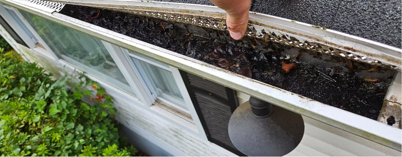 Hand holding a gutter cover beside a window box with soil and green plants along a house roofline