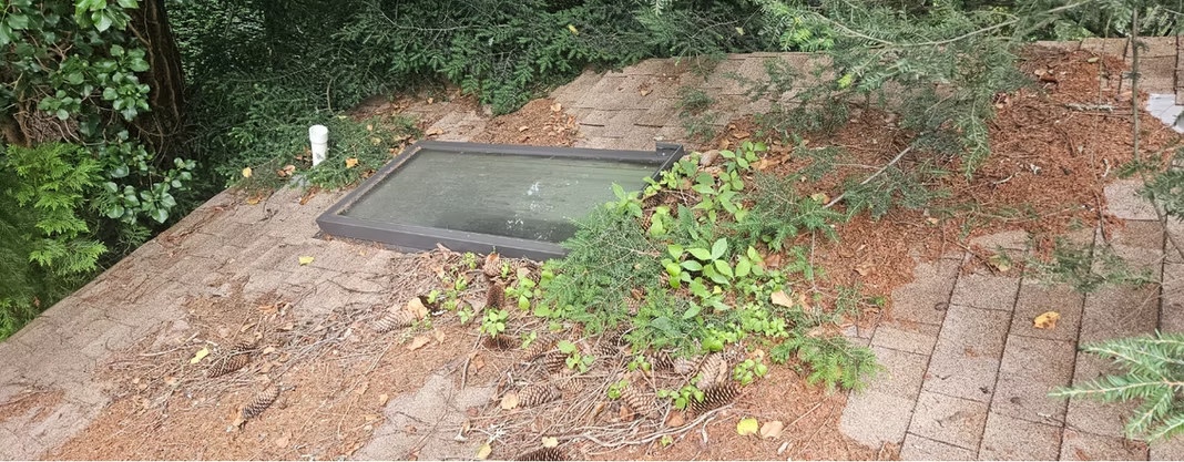 Rooftop hatch surrounded by dirt, brick paving, and overgrown vegetation near a wooded area