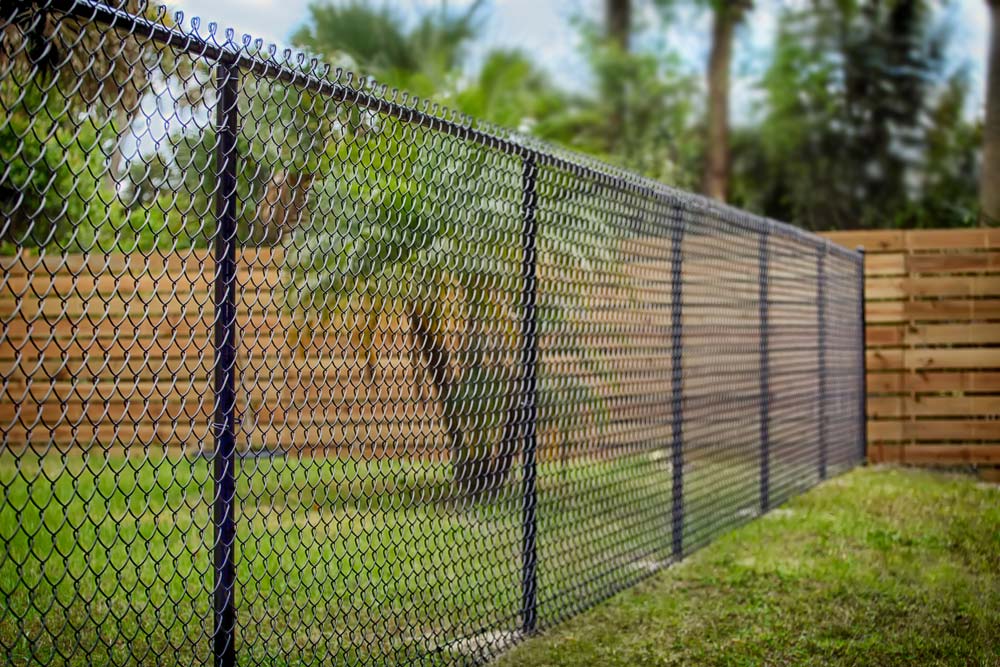 Black chain-link fence bordering a grassy area and a wooden fence, with green foliage in the background.