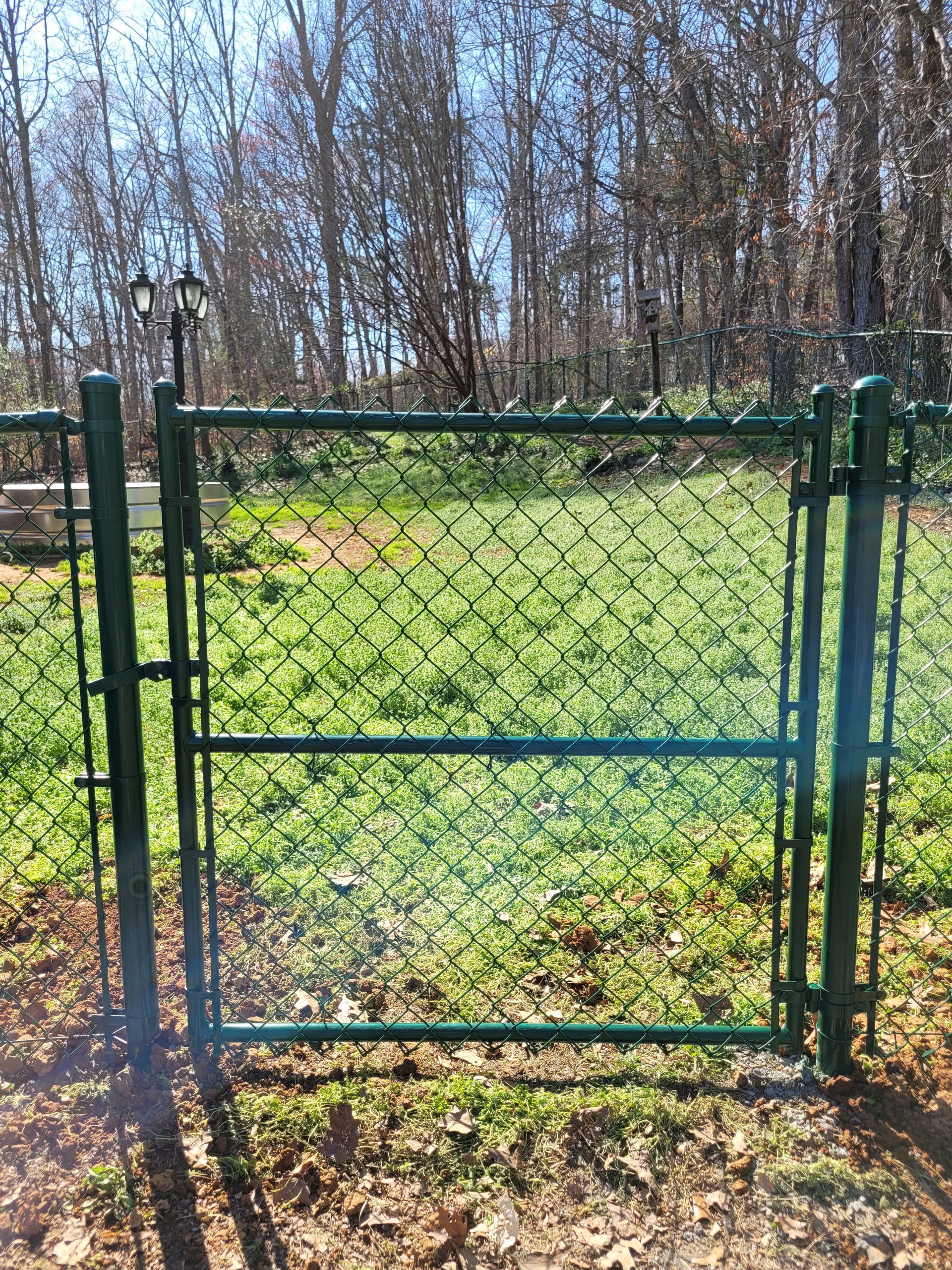Green chain-link fence gate open in a grassy yard, with trees in the background.