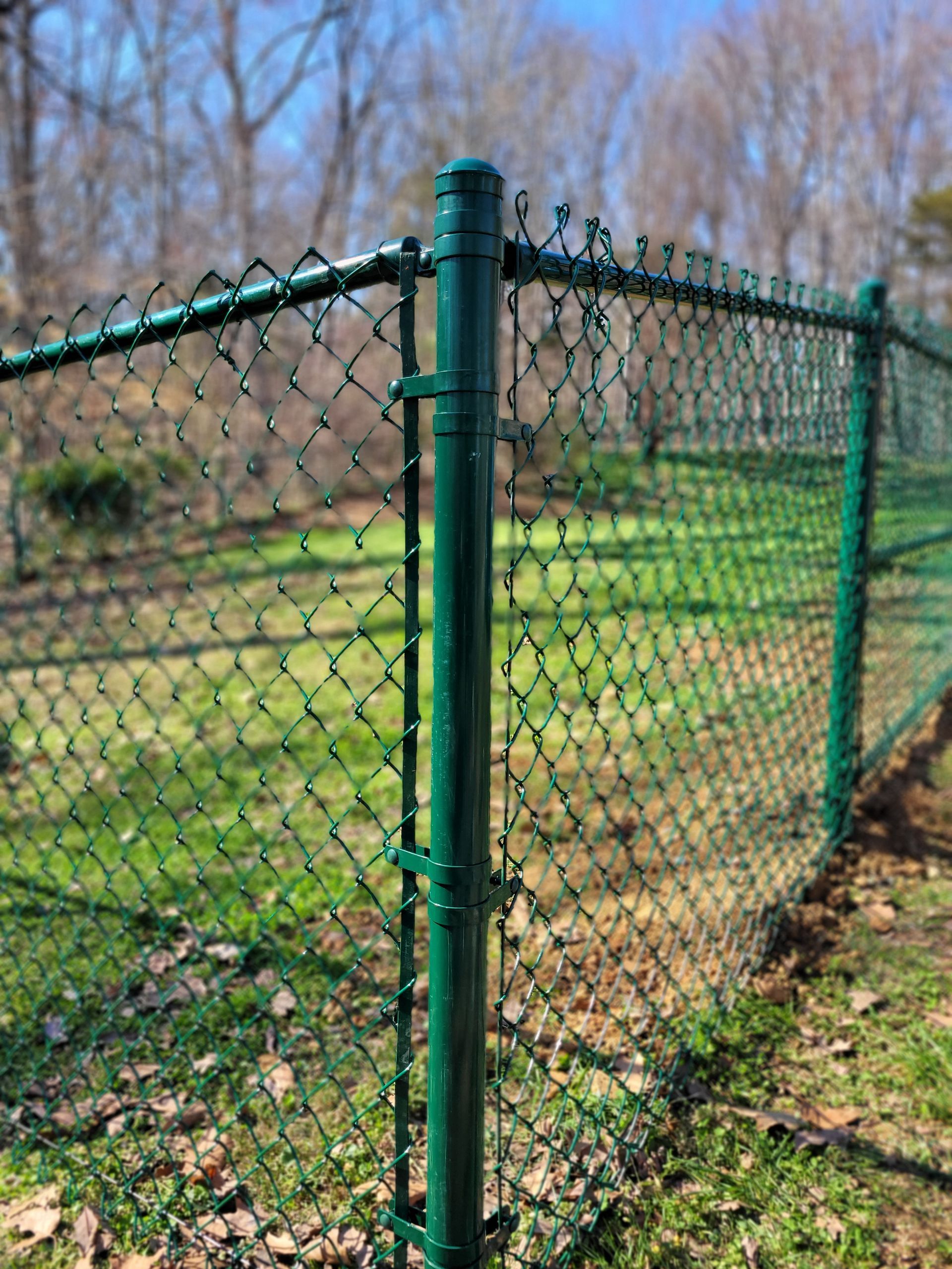 Green chain-link fence in a grassy area, with trees in the background.