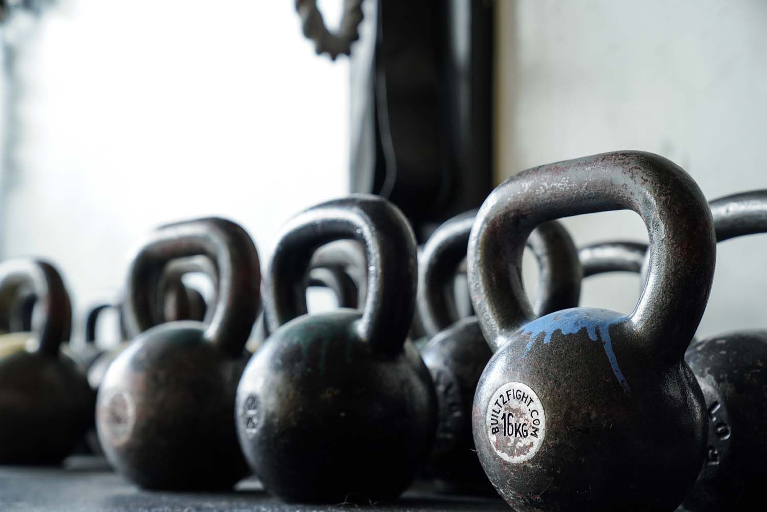 A row of kettlebells are lined up on a shelf in a gym.