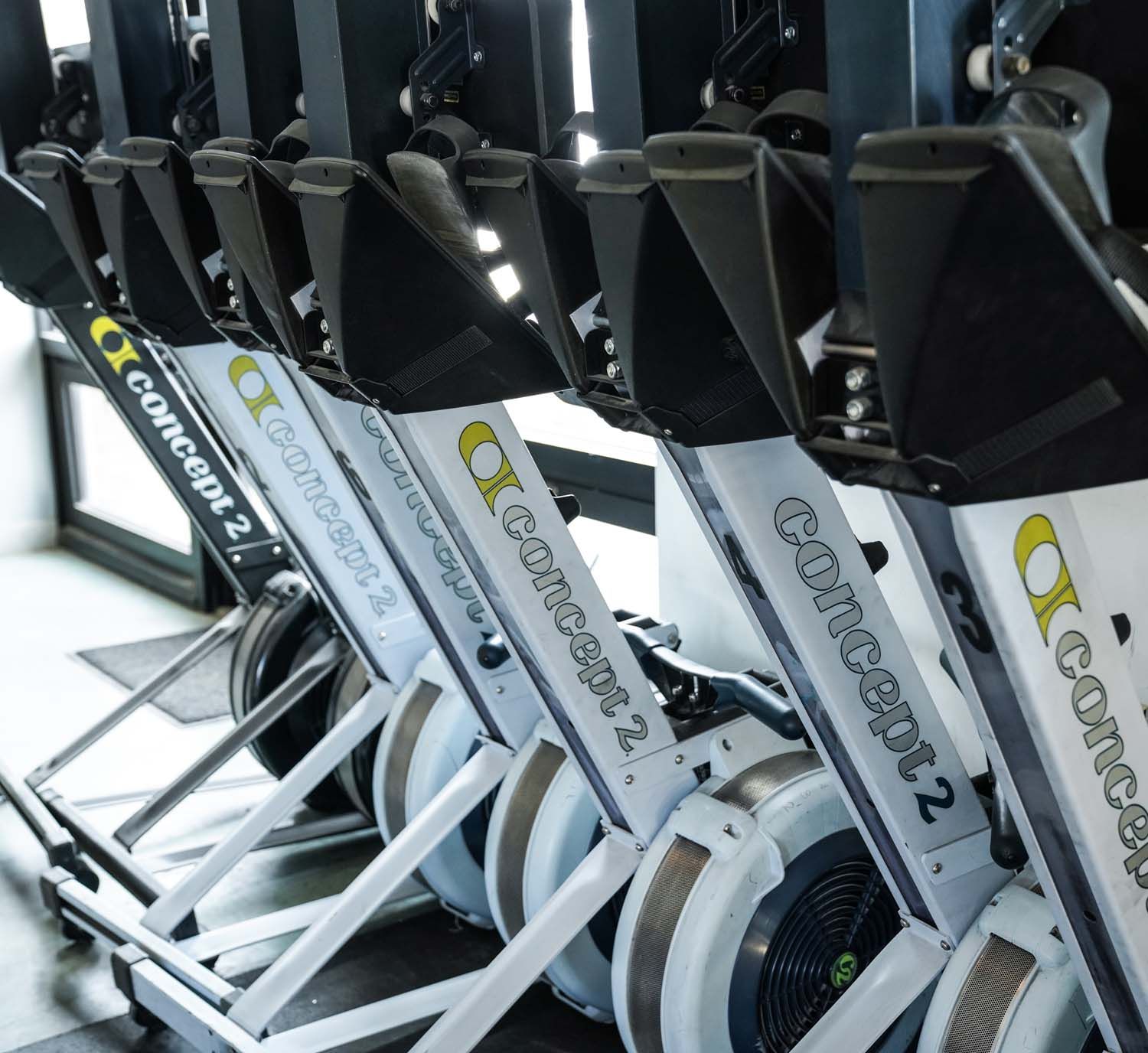 A row of concept 2 rowing machines in a gym