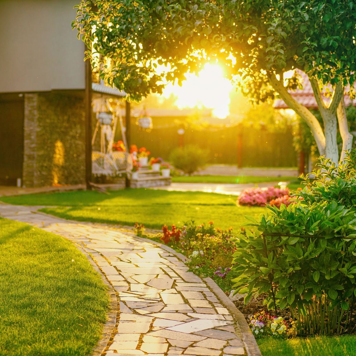 The sun is shining through the trees in the backyard of a house.