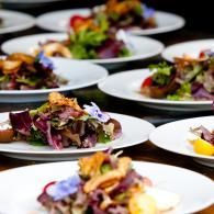 Plated gourmet salads arranged on a table at a catered event
