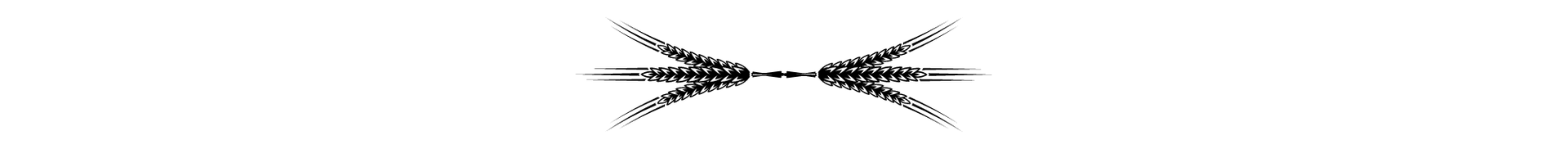 Black decorative horizontal divider with mirrored chevron-like lines in the center on a white background