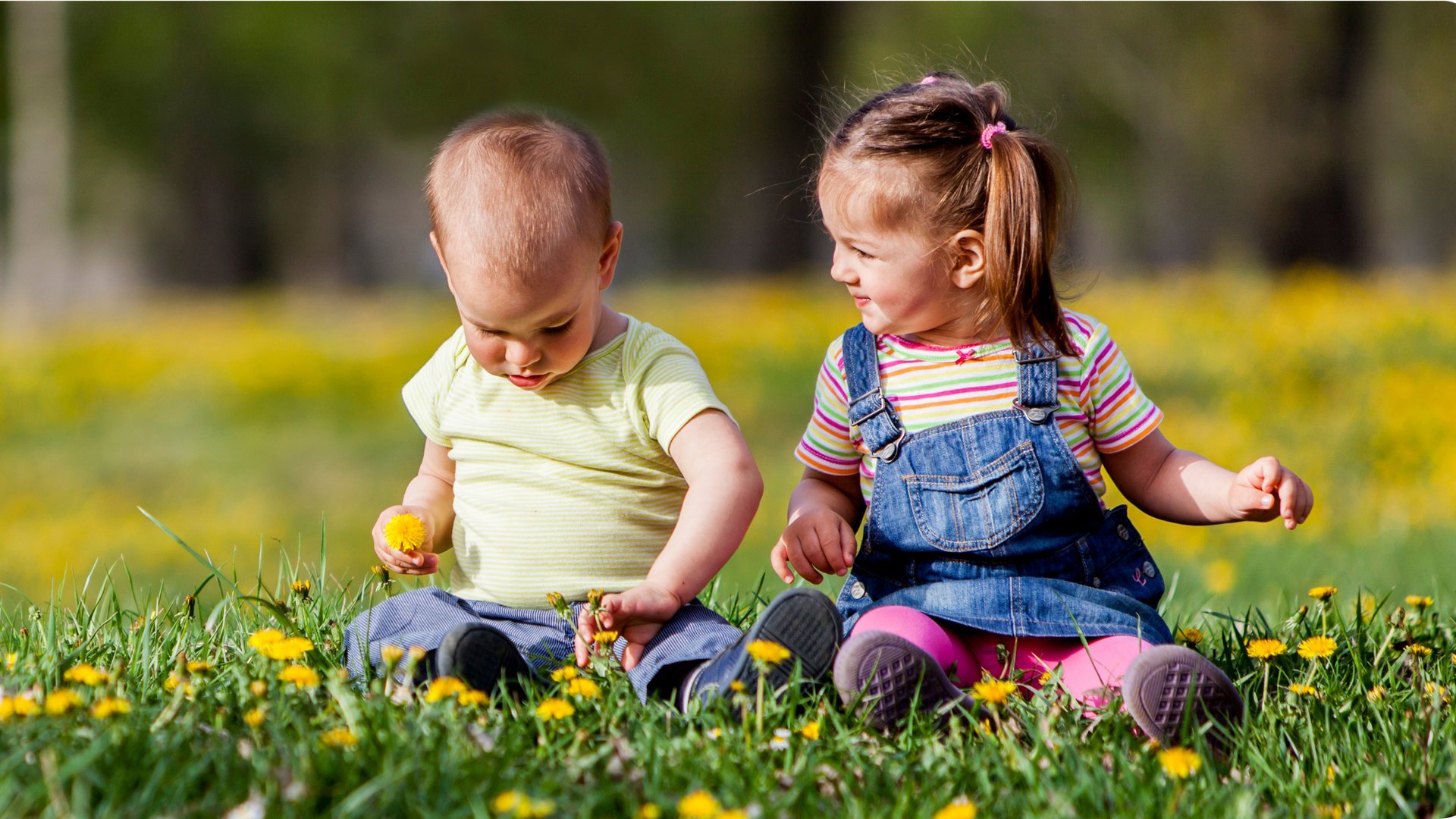 Two toddlers sitting in a grassy field with yellow flowers, looking down at the ground.