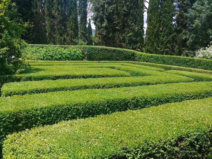 Manutenzione giardini e aree verdi