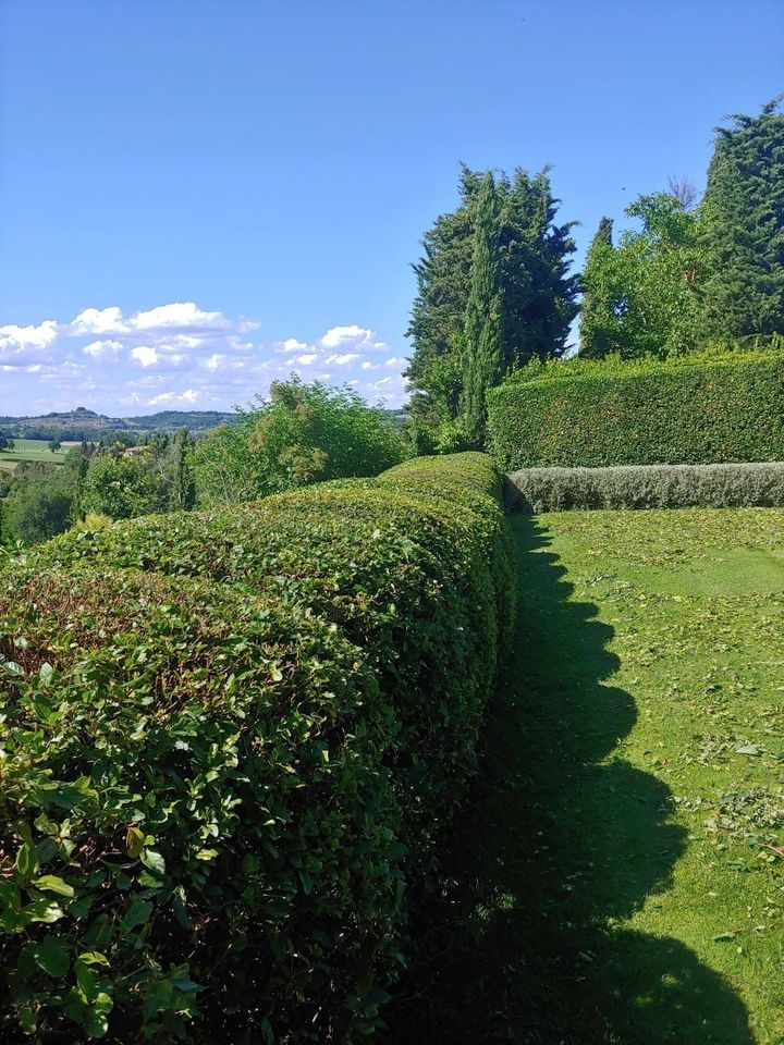 manutenzione siepe
