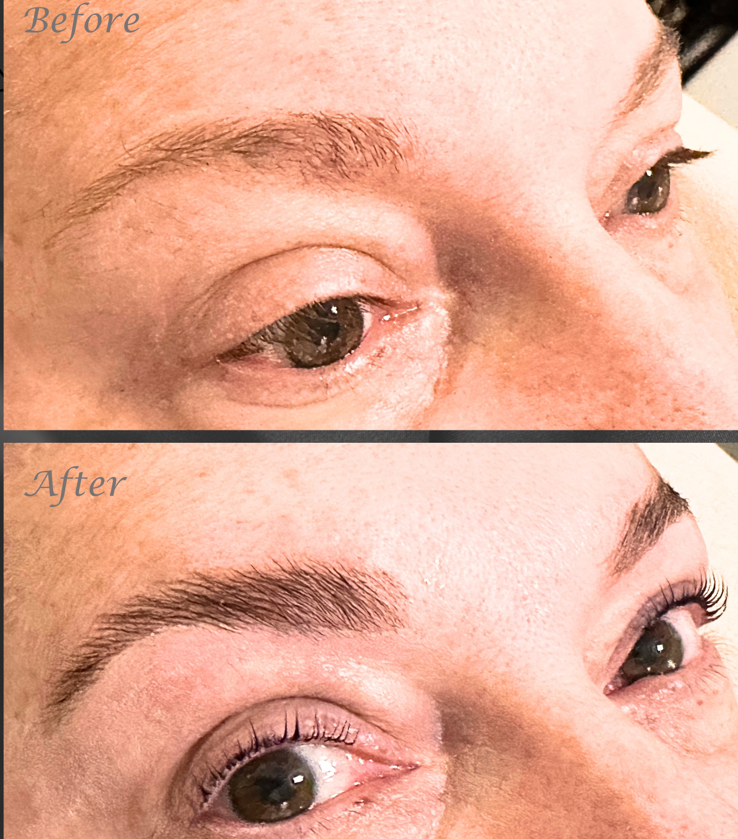 Brow Lamination, Wax & Tint in Bristol at Home Salon