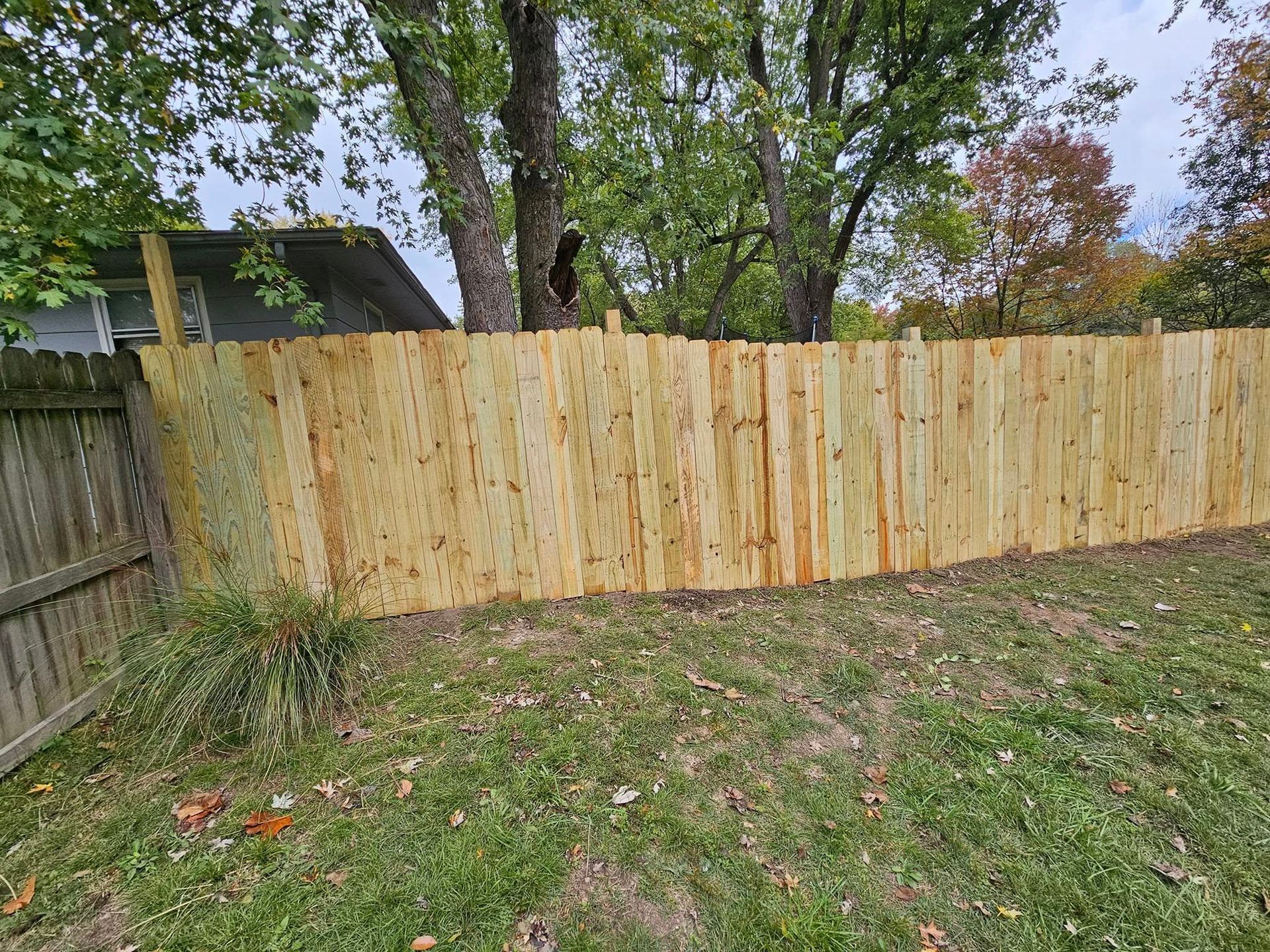Backyard with a new wooden fence, grassy lawn, and trees in the background