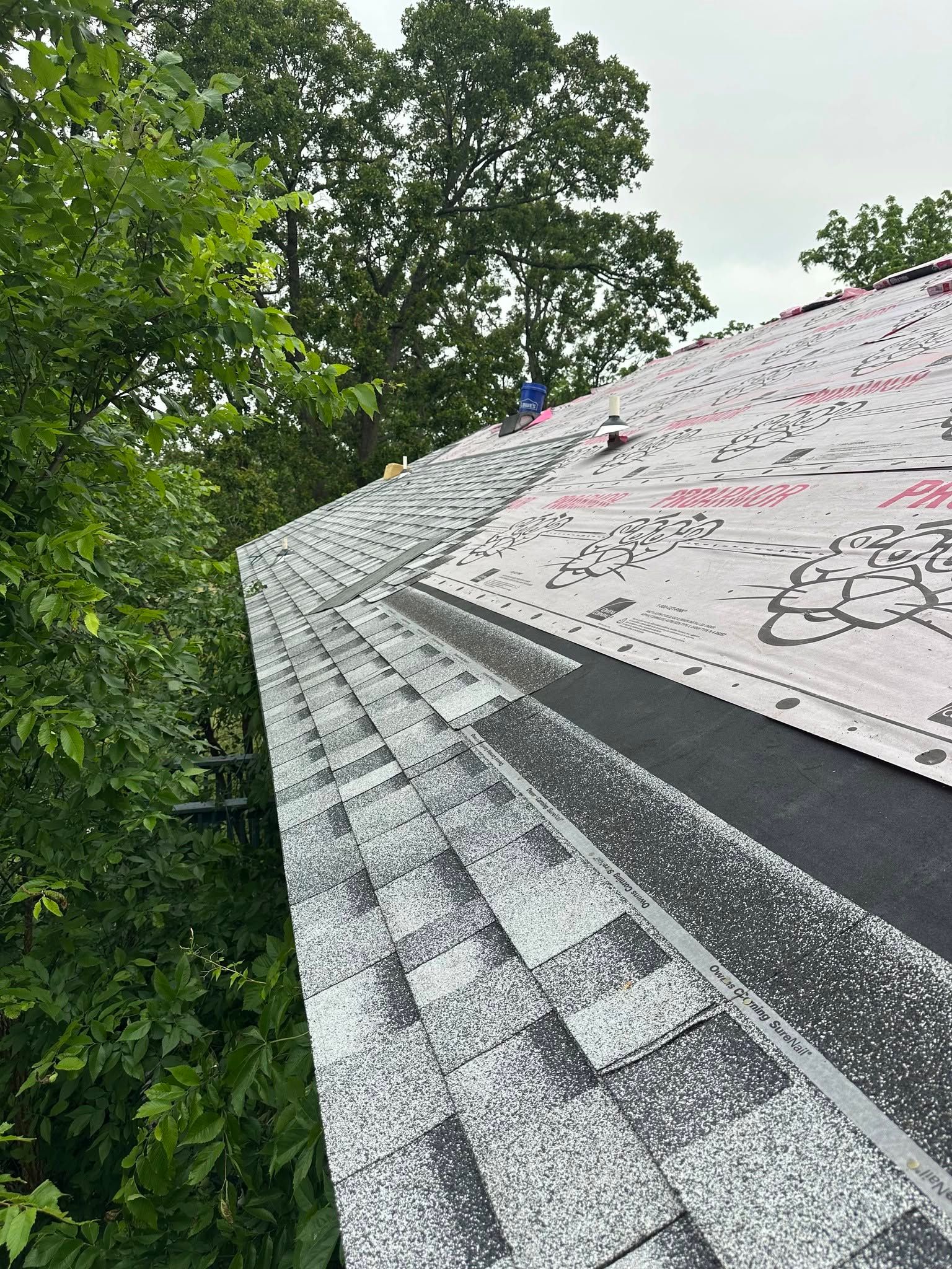 Person on a rooftop beside a mossy shingle slope, with trees in the background.