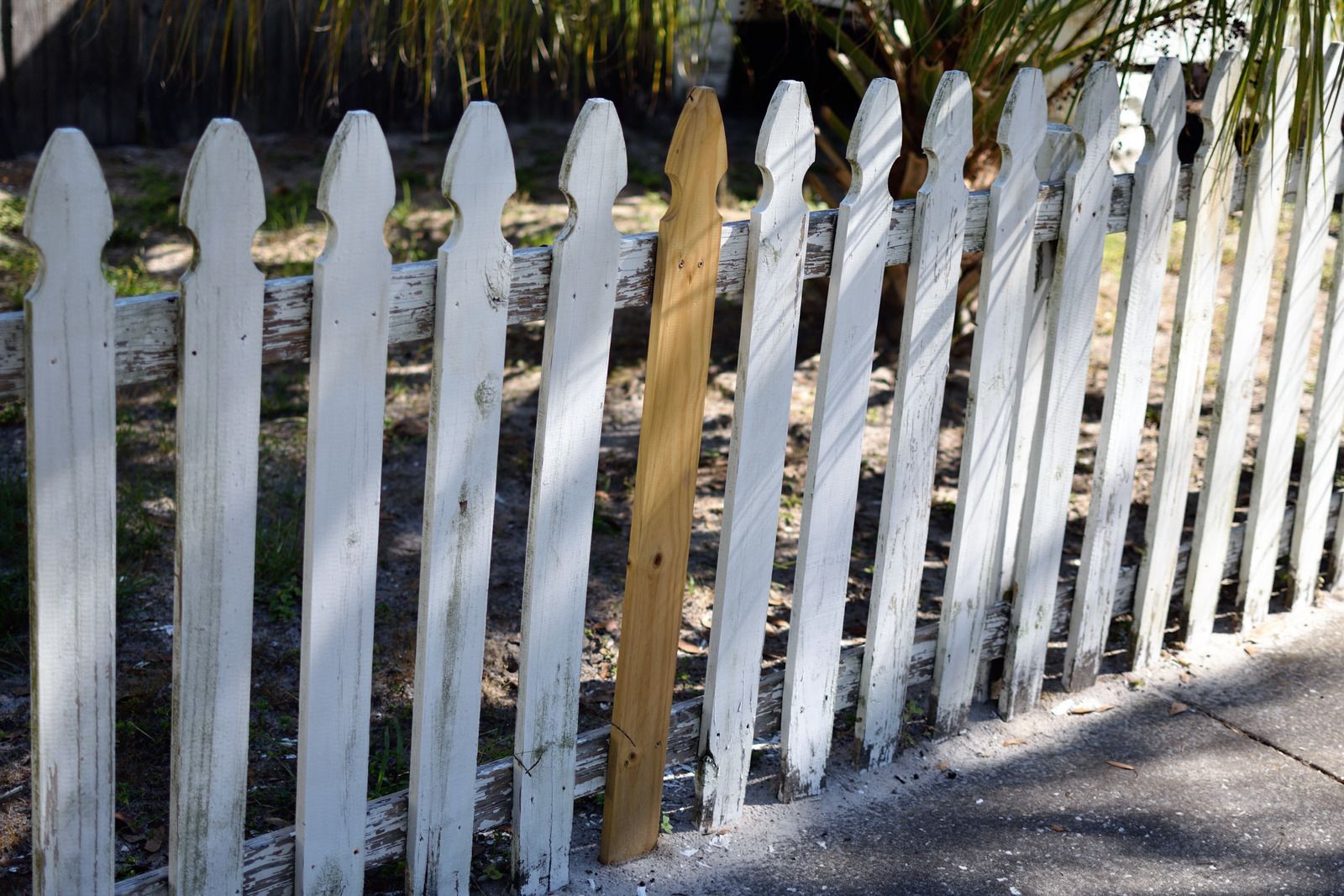 Small dirt backyard with a curved wooden fence between two houses, viewed from a balcony.