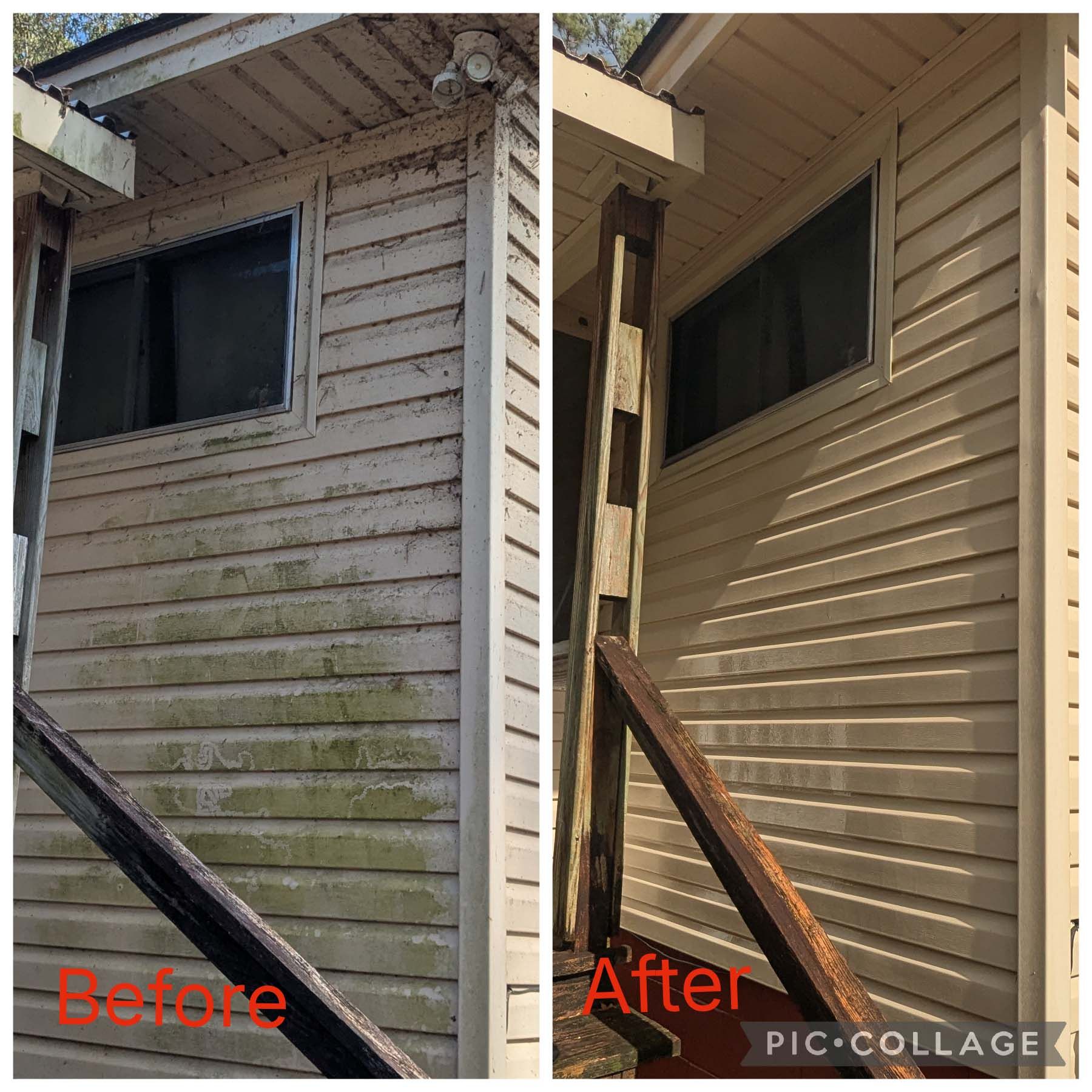 Before-and-after view of a house exterior wall, showing cleaning removed green mold and grime.