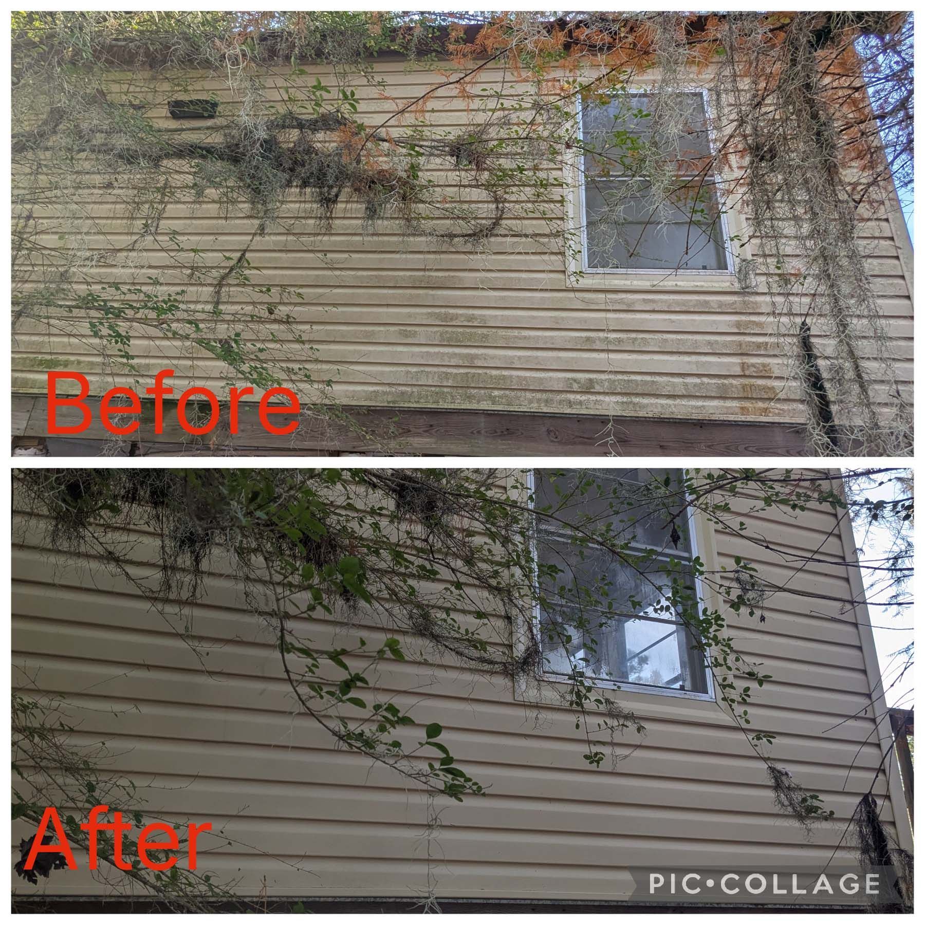 Before-and-after exterior wall cleanup: vine-covered beige siding becomes clearer and cleaner.