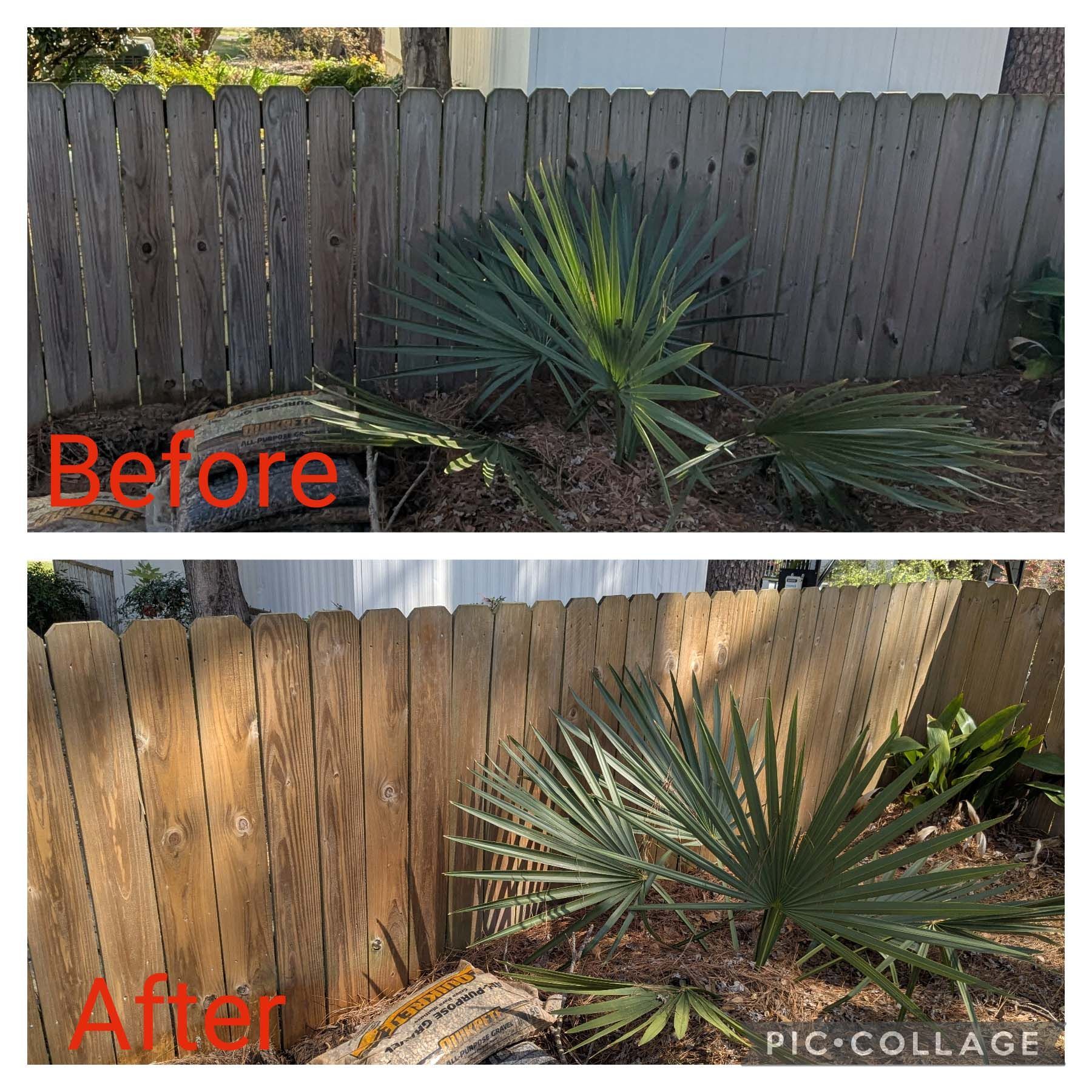 Before-and-after backyard fence cleanup with trimmed plants and cleared ground.