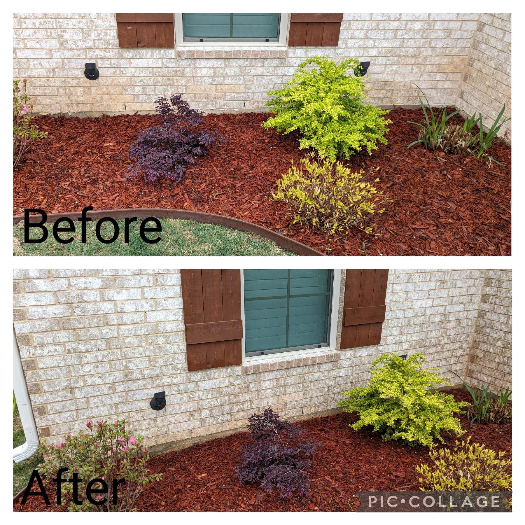 Before-and-after of a front yard mulch bed with shrubs against a brick house wall.